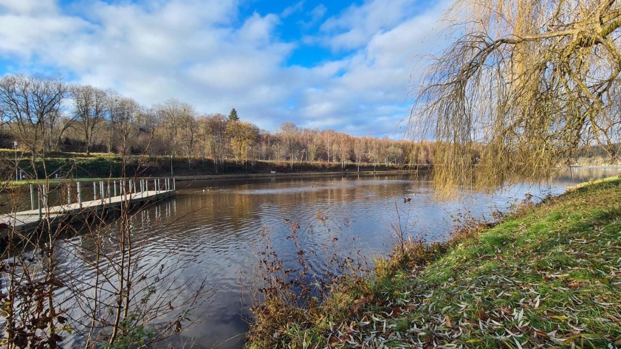 Le Salmoyard, Studio Au Bord Du Lac A Vielsalm Dış mekan fotoğraf