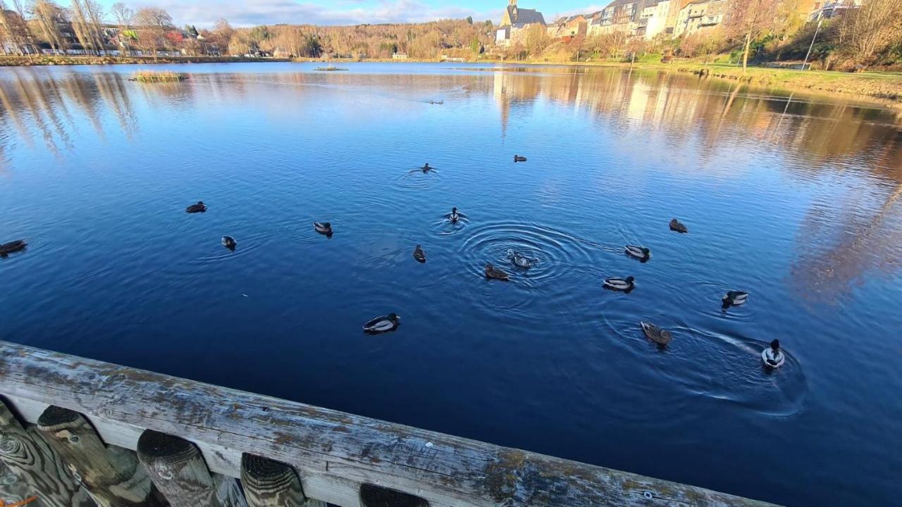 Le Salmoyard, Studio Au Bord Du Lac A Vielsalm Dış mekan fotoğraf